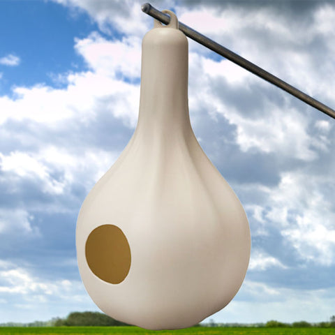 Wild Bird Lover's Single Purple Martin Gourds