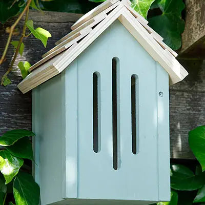 Wings Retreat Butterfly Barn, Green